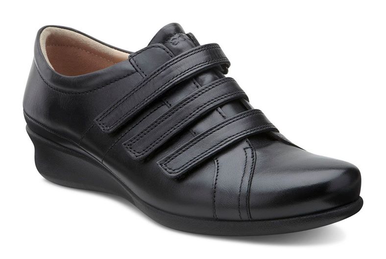 ABELONE (Black)
