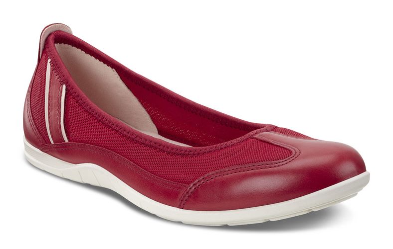  Bluma (Red)
