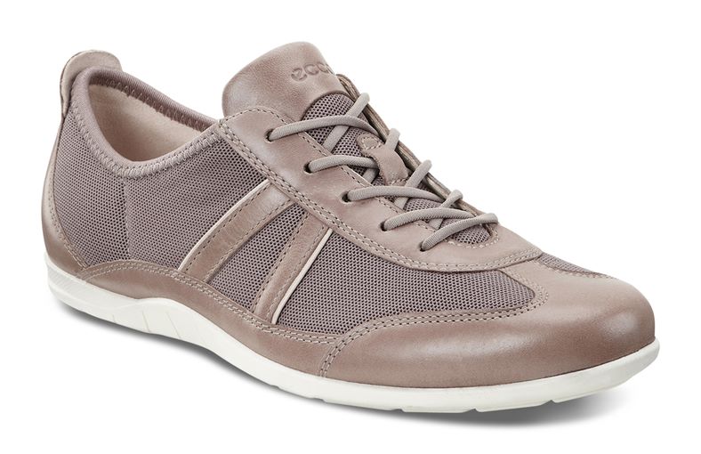  Bluma (Brown)