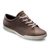 CRISP (Brown)
