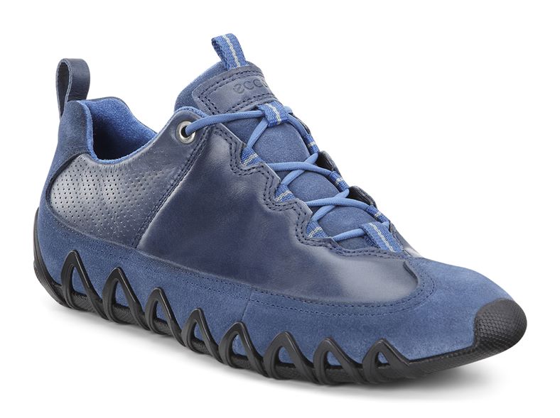  Dayla (Blue)