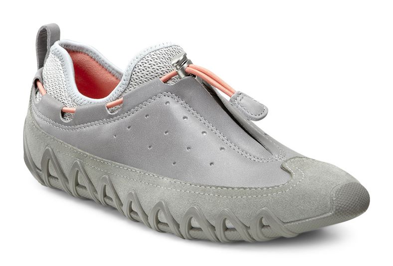  Dayla (Grey)