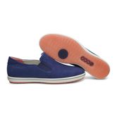 ALONA (Blue)