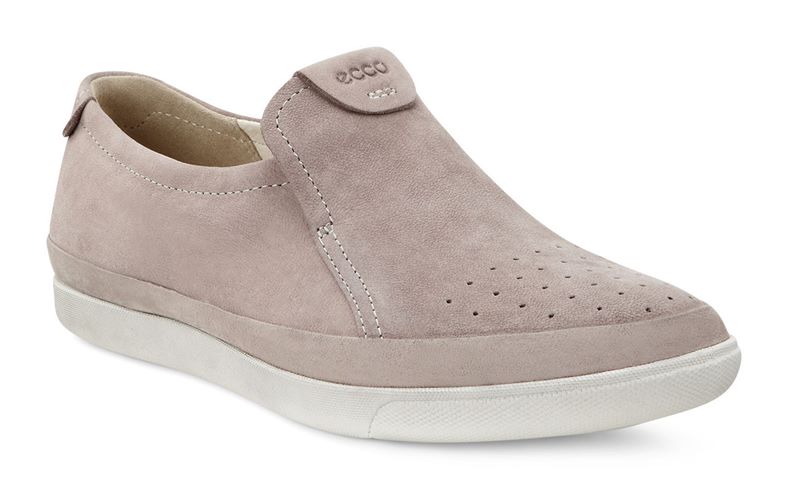  Damara (Brown)