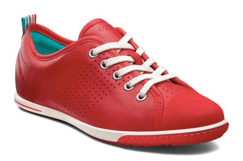 SPIN (Red)