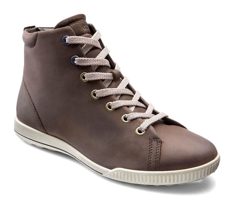 CRISP (Brown)
