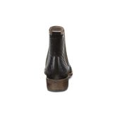 PRAI (Brown)