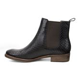 PRAI (Brown)