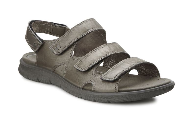 BABETT SANDAL (Metallic)