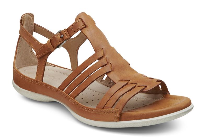 Flash (Brown)
