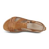  Flash (Brown)