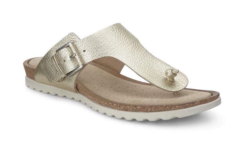  Dagmar (Brown)
