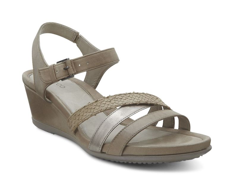  Touch 45 Ws (Brown)