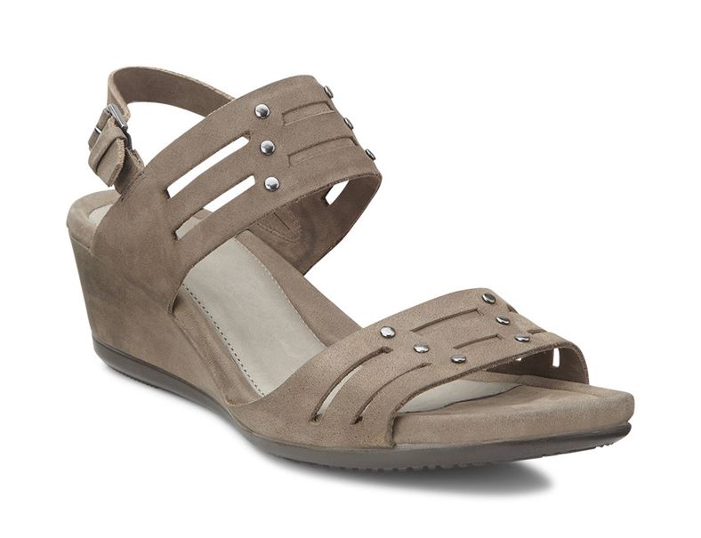  Touch 45 Ws (Brown)