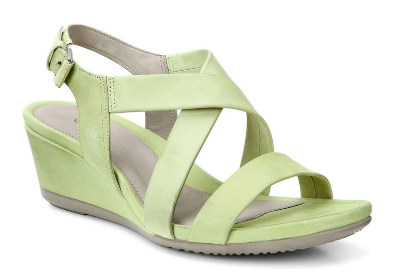  Touch 45 Ws (Green)