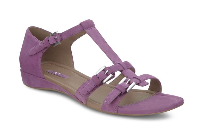  Bouillon Sandal II (Purple)