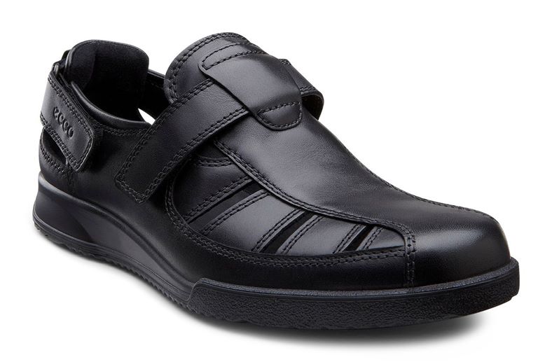 TRANSPORTER (Black)