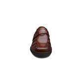 TRANSPORTER (Brown)