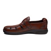 TRANSPORTER (Brown)