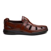 TRANSPORTER (Brown)