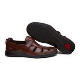 TRANSPORTER (Brown)