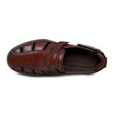 TRANSPORTER (Brown)