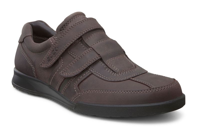 TRANSPORTER (Brown)