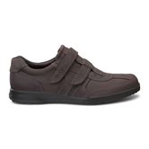 TRANSPORTER (Brown)