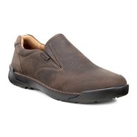 DASON (Brown)