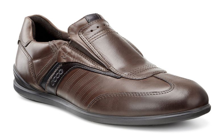  Chander (Brown)
