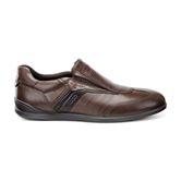  Chander (Brown)