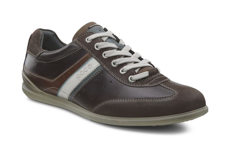 Chander (Brown)