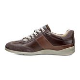 Chander (Brown)