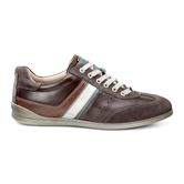  Chander (Brown)