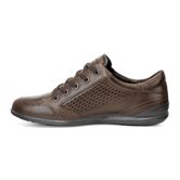  Chander (Brown)