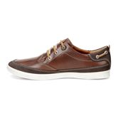  Collin (Brown)