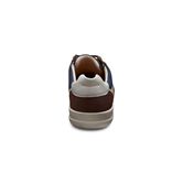  Enrico (Brown)