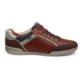  Enrico (Brown)