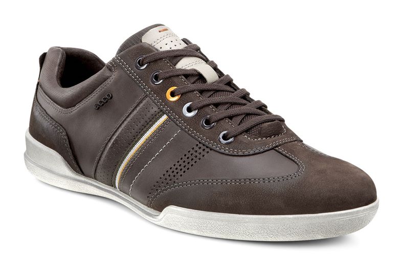  Enrico (Brown)