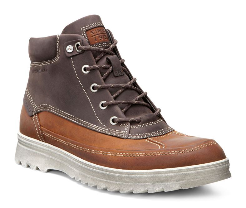 DARREN (Brown)