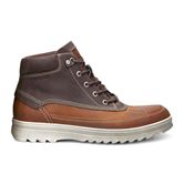 DARREN (Brown)