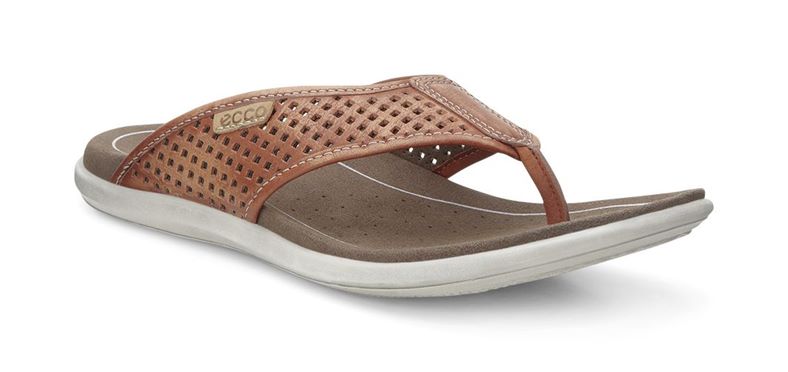 Collin Sandal (Brown)