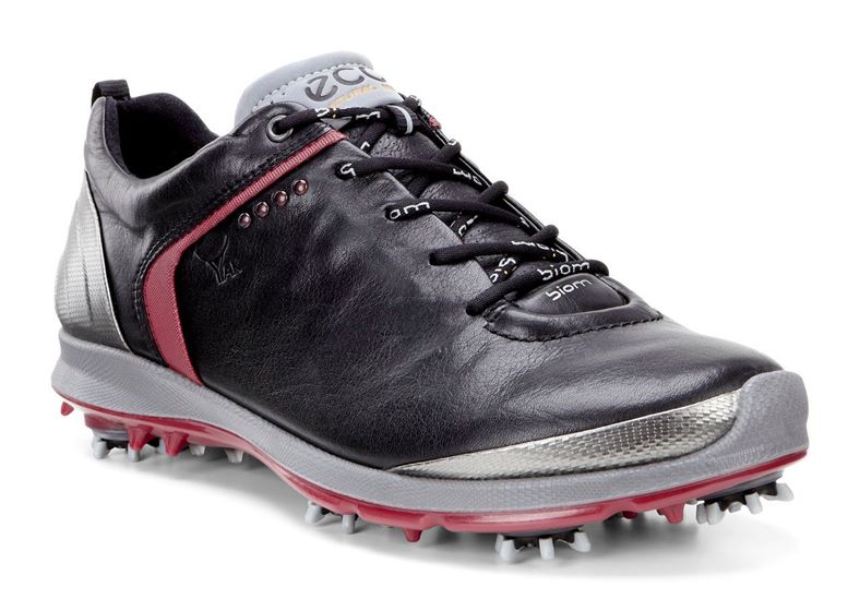 MEN'S GOLF BIOM G 2 (Black)