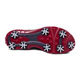 MEN'S GOLF BIOM G 2 (Black)