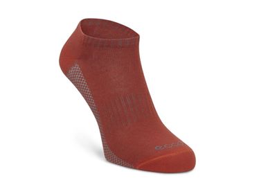 Cool Sneaker Sock Mens