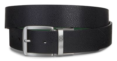 Dailey Mens Belt