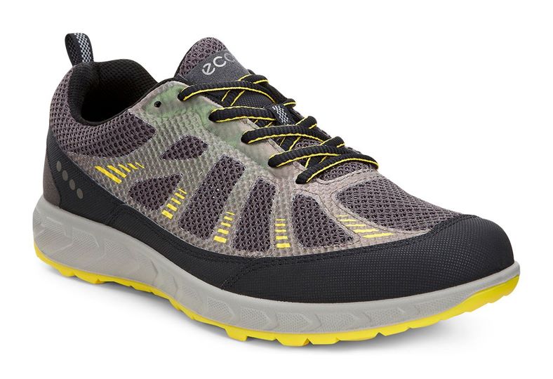 TERRATRAIL MEN'S (Çok Renkli)