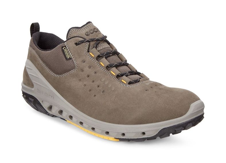  Biom Venture M (Yeşil)