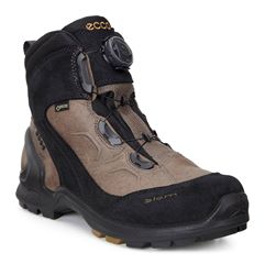  Biom Terrain M