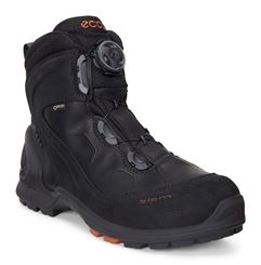  Biom Terrain M